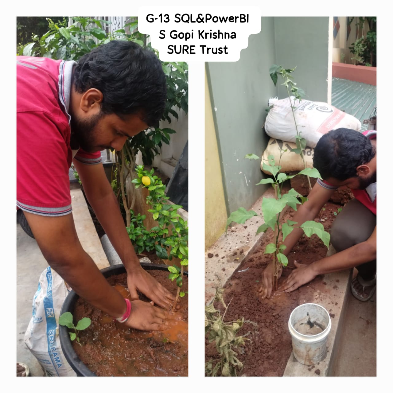 S GOPI KRISHNA