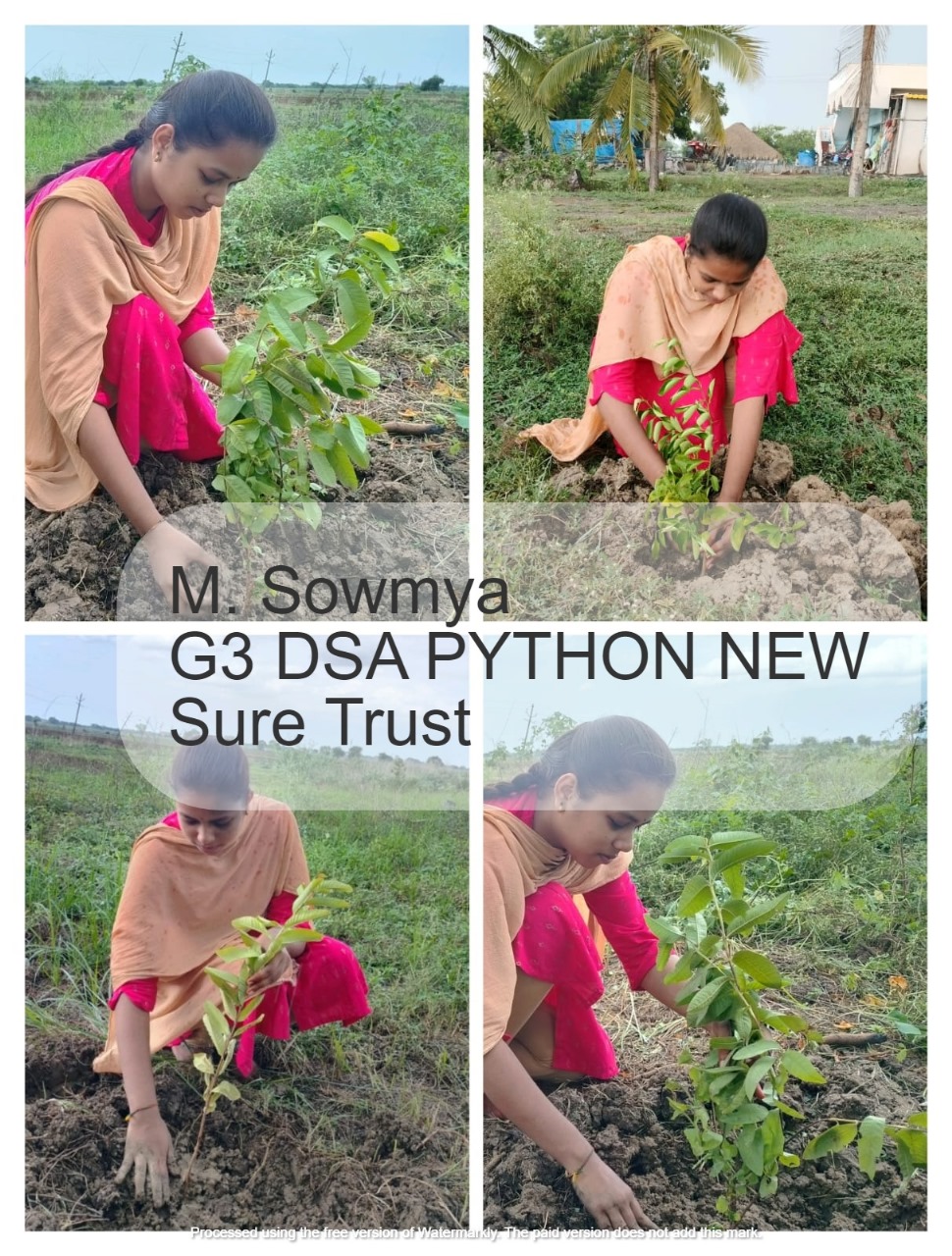 M SOWMYA