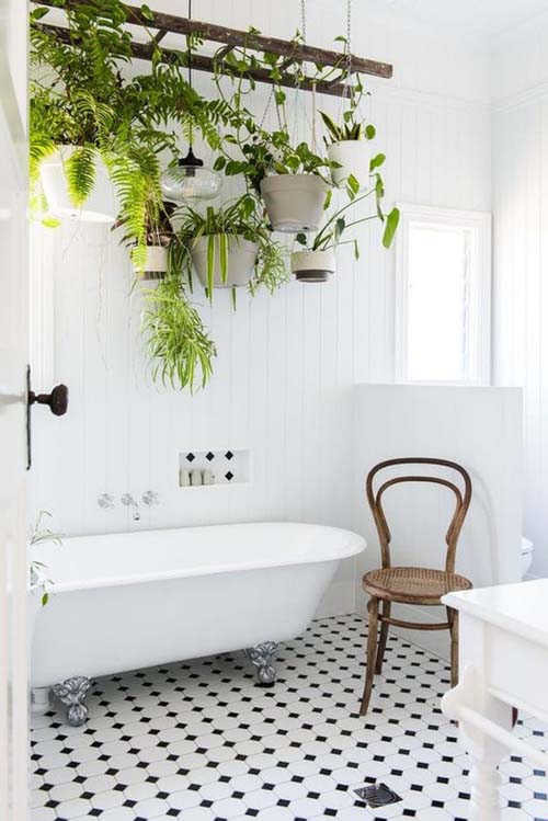 MONDAY GREEN INSPO: LE PIANTE PER IL BAGNO •Conversazioni tra Orto e ... MONDAY GREEN INSPO: LE PIANTE PER IL BAGNO •Conversazioni tra Orto e ...