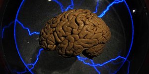 Тест, который проверит вас на сообразительность и логическое мышление