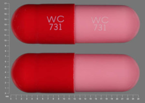 Amoxicillin WC 731 WC 731