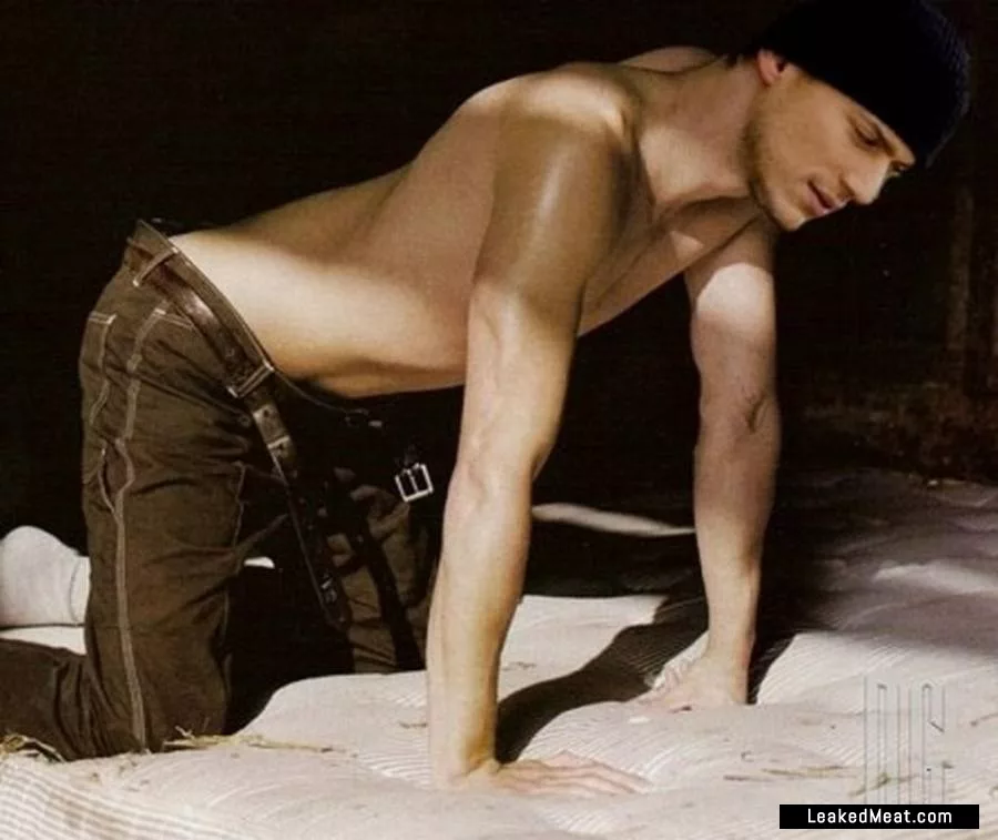 Wentworth Miller hot