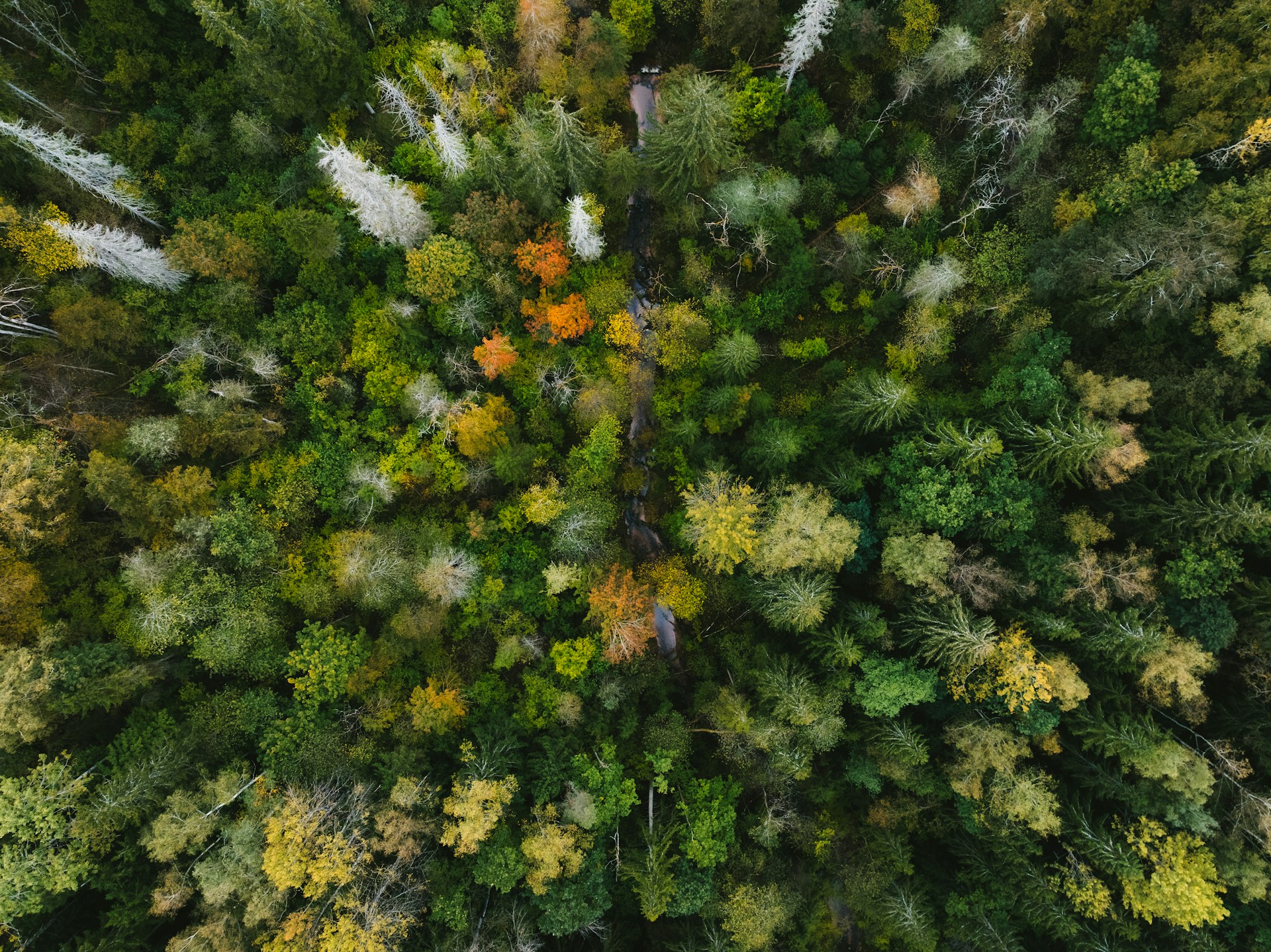 Hero Background