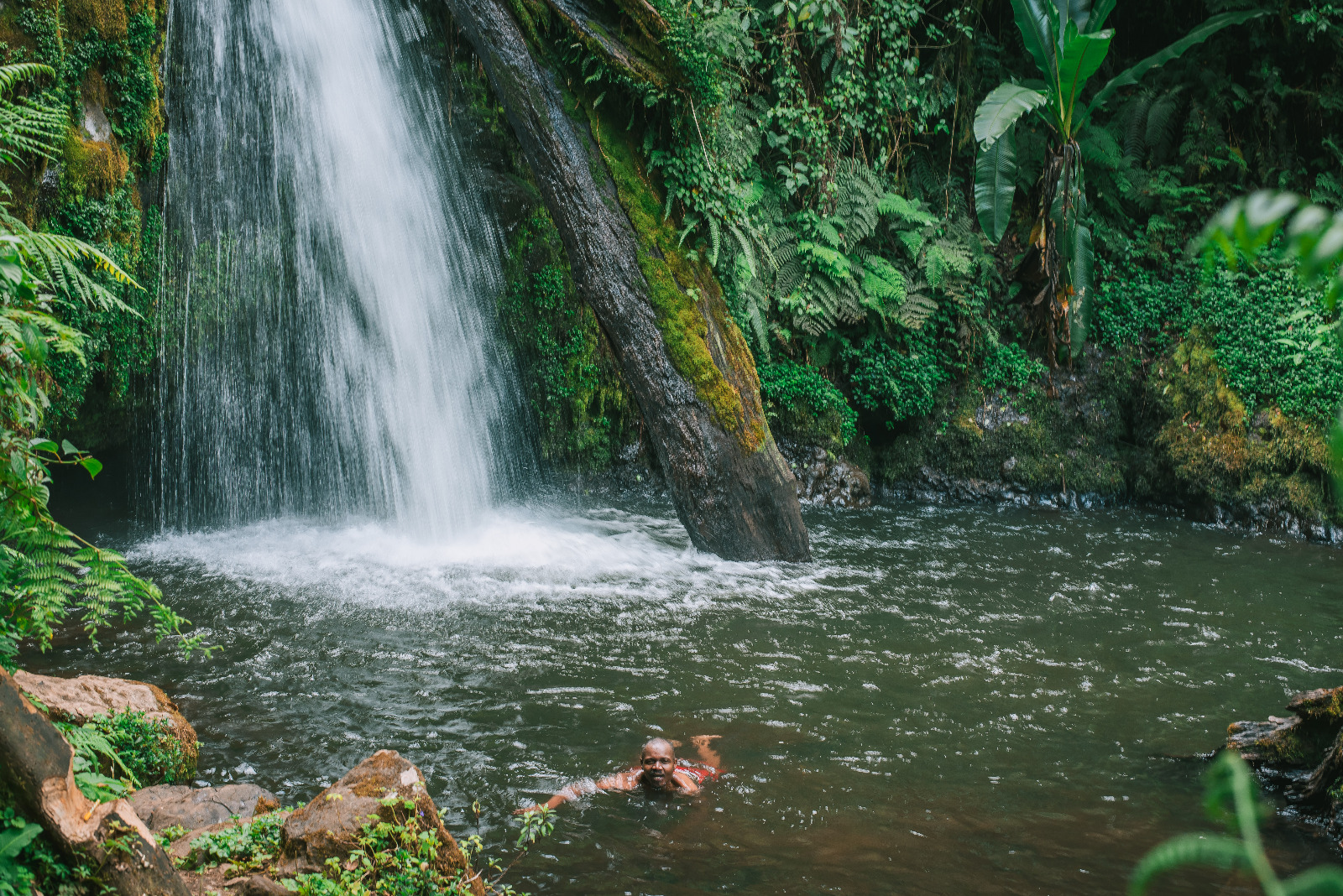 Ecotherapy