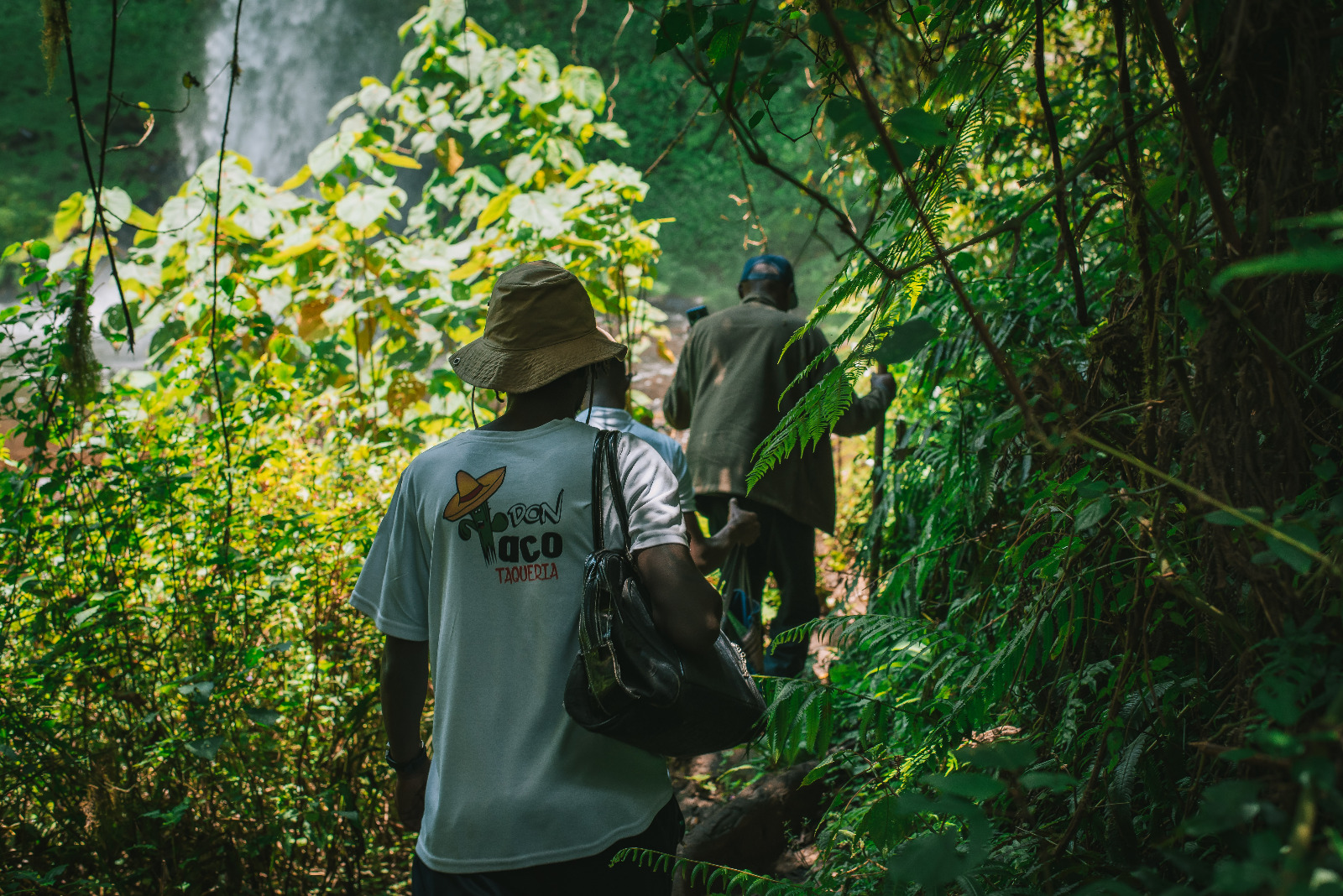 Ecotherapy