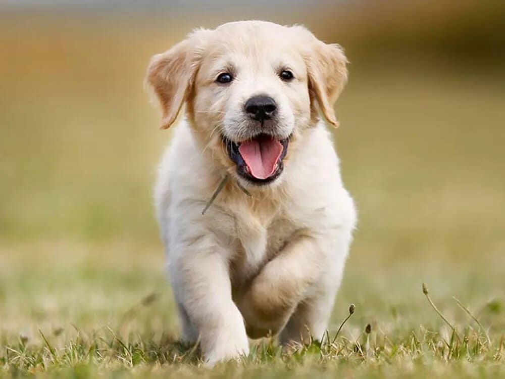 9109c38b-905e-4683-9313-91d6db6b9e0a