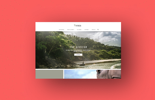 Africa - WordPress Blog Theme - 2