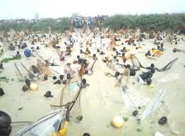 The Story of Argungu Fishing Festival: The Historic Northern Festival