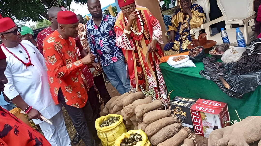 The Origin of the New Yam Festival and Its Significance in Igbo Land