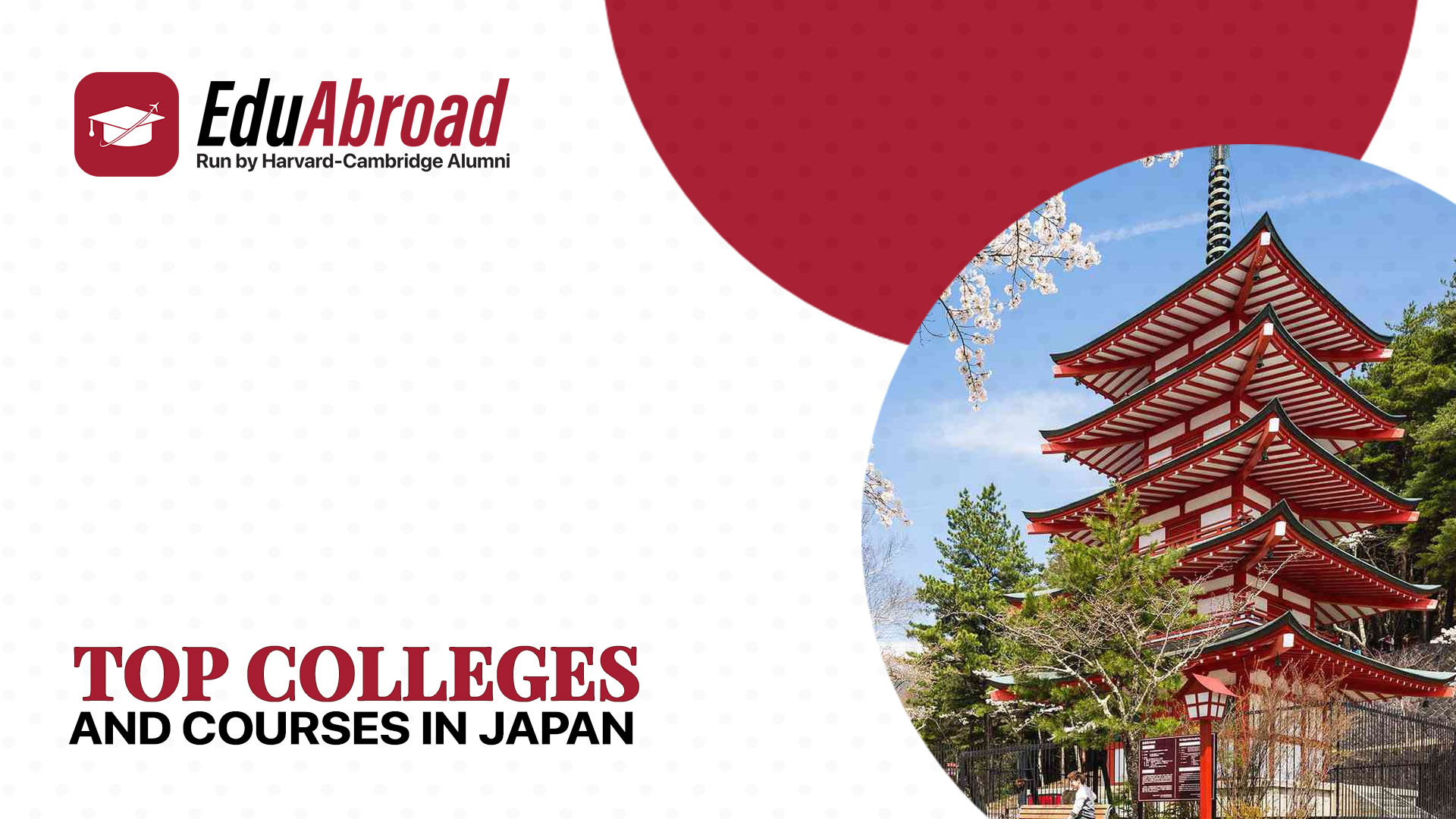 TOP COLLEGES AND COURSES IN JAPAN 