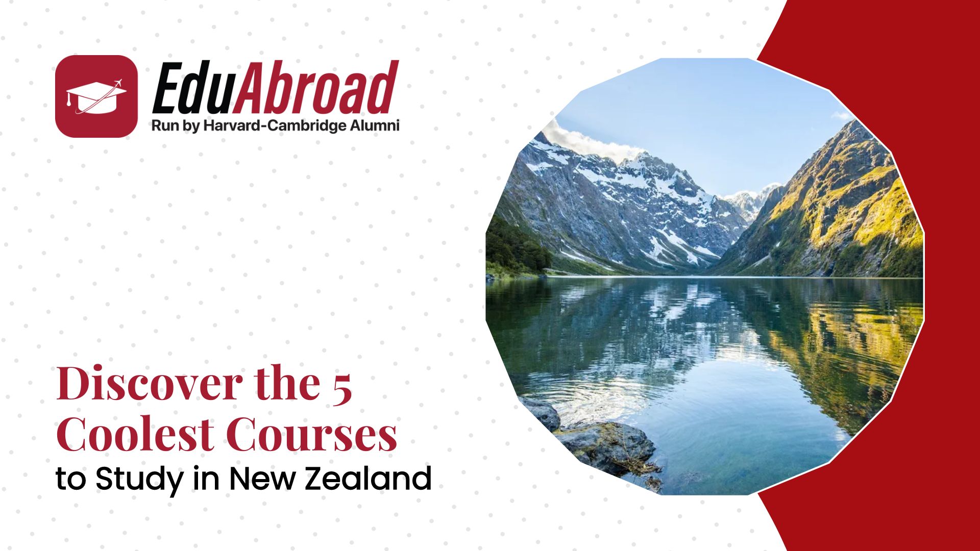 Discover the 5 Coolest Courses to Study in New Zealand