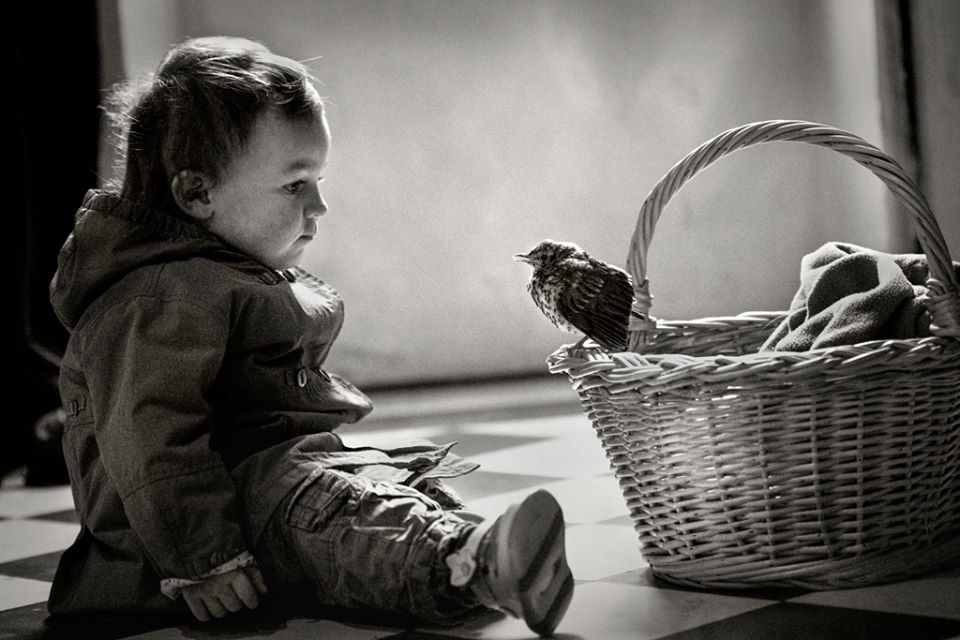 Alain Laboile