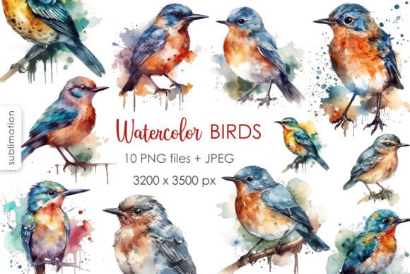 Feathered Skies: Coloring Pages with Birds and Nests