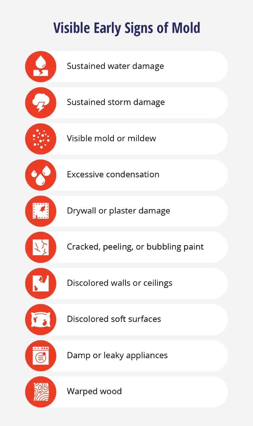 hidden mold signs, musty odor, health risks
