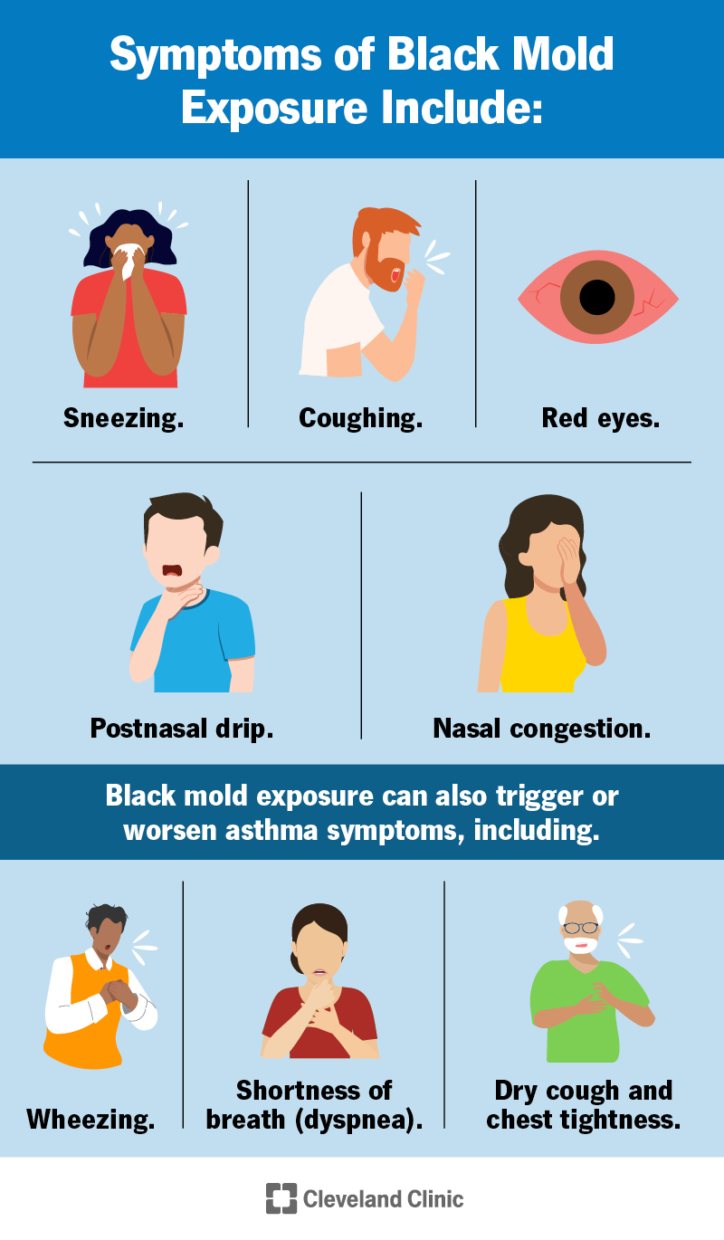 mold health symptoms, respiratory issues, allergy reactions