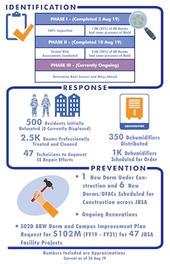 mold detection, remediation process, health safety