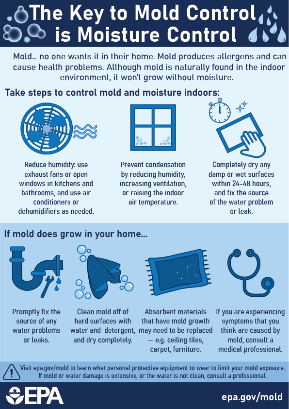 mold prevention practices, industrial cleaning protocol, moisture control methods