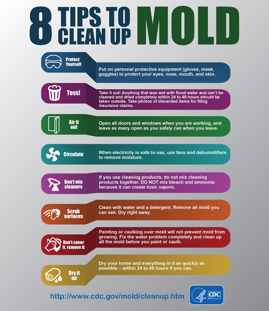 mold removal, health hazards, property damage