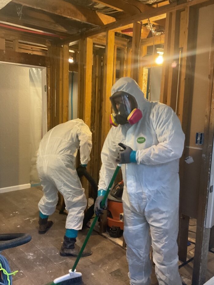 mold remediation, water damage, professional inspection