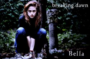 Фотографии Сумерки. Сага Рассвет Сумерки. Сага Kristen Stewart Кино