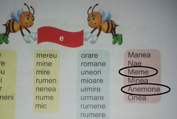 manual-4