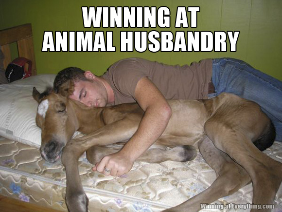 WA_animalHusbandry