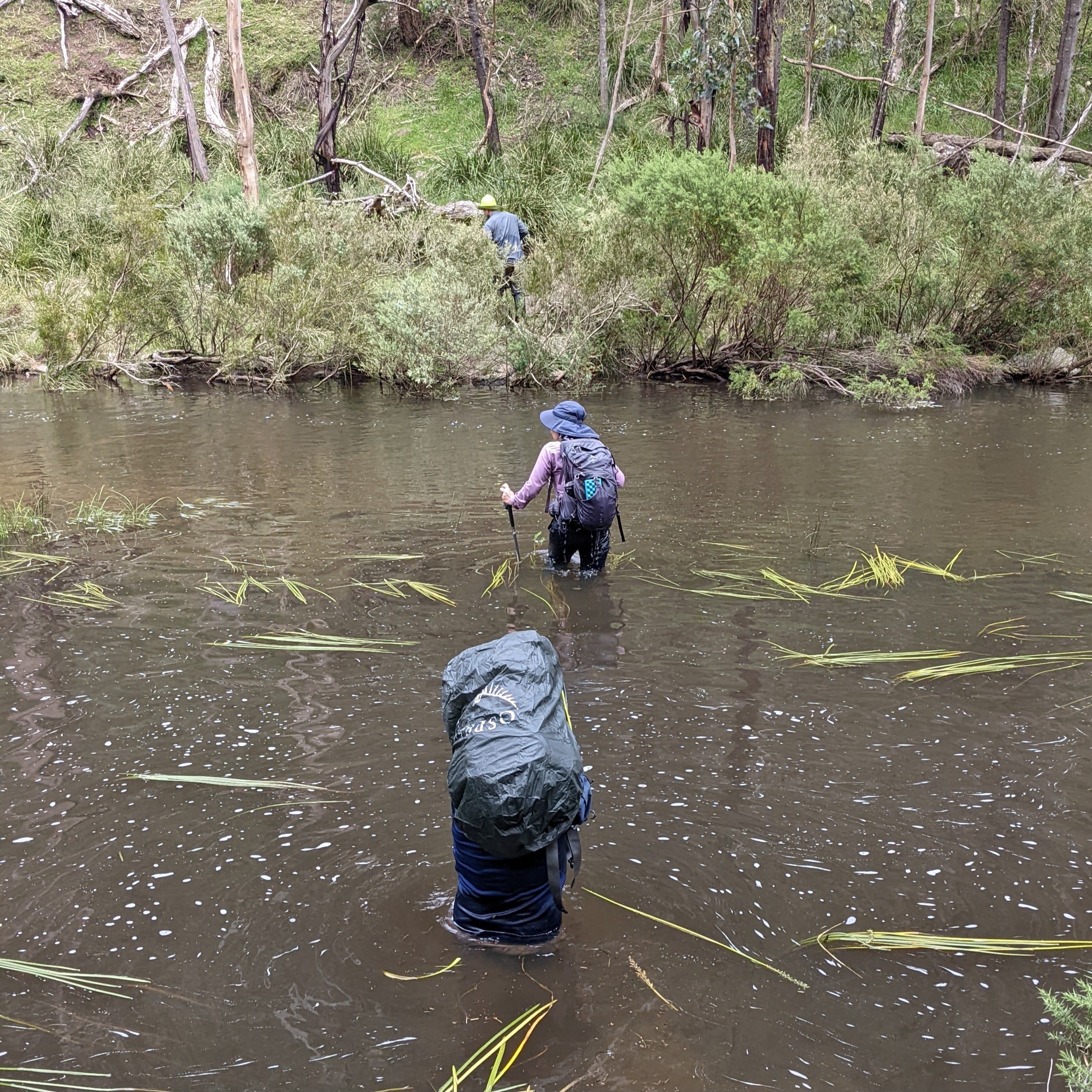 Bushwalking584 - Lerderderg