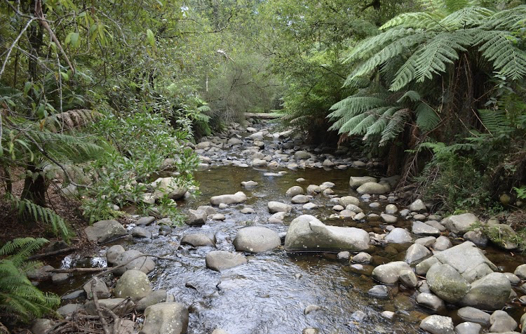 Event 859 - Yarra Ranges National Park