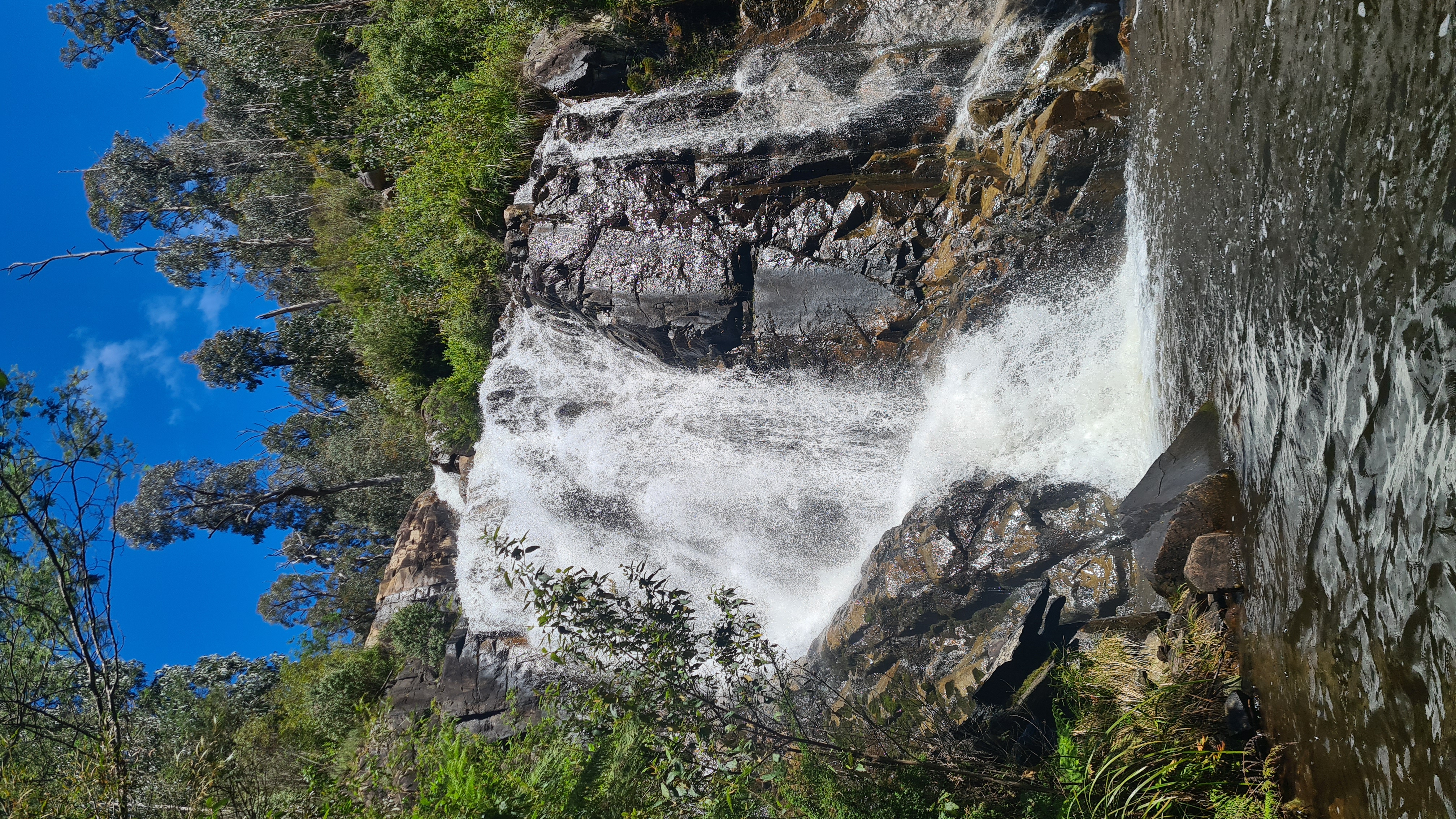 Steavenson Falls