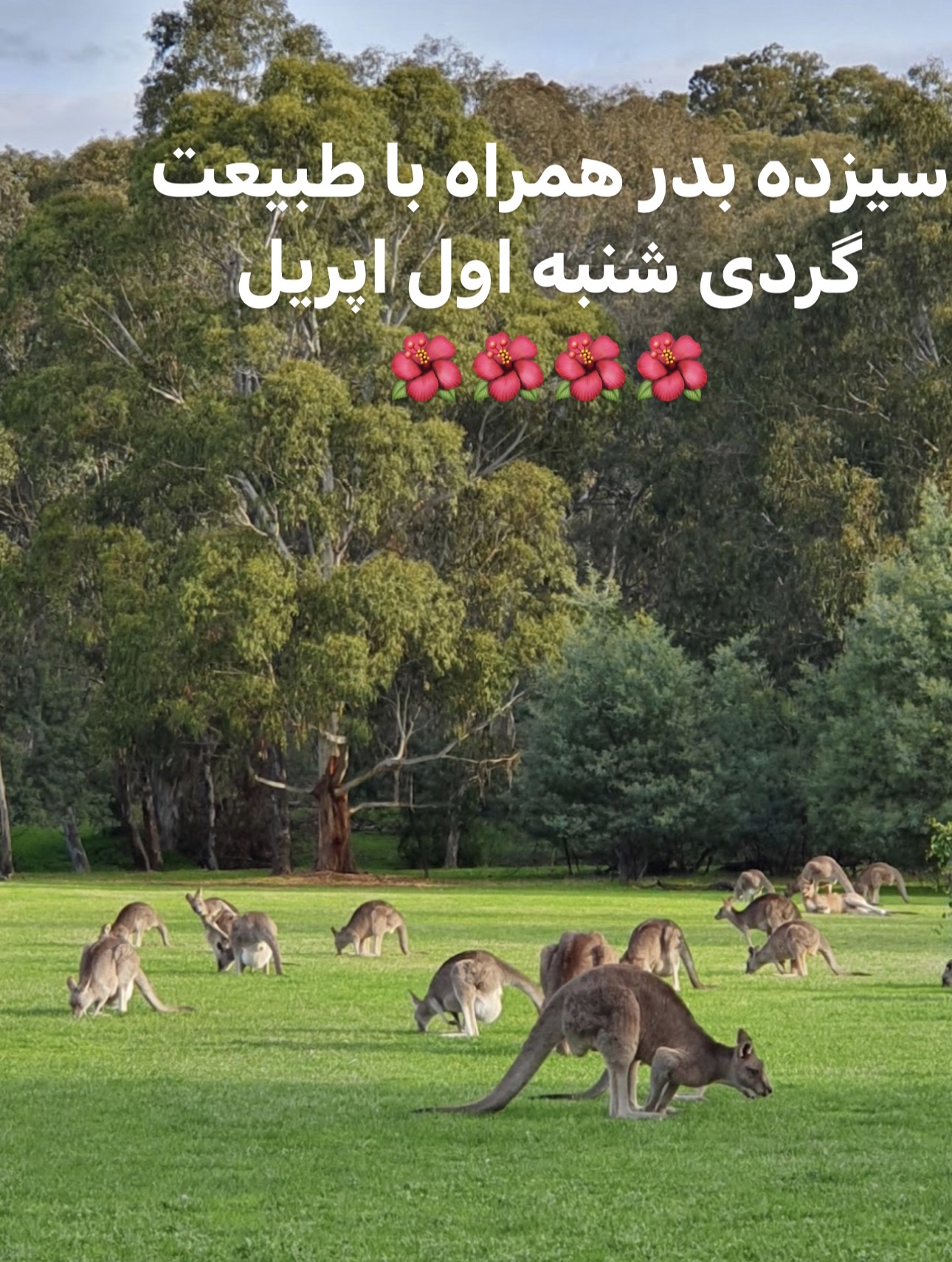 برنامه ورزشی -تفریحی (سیزده بدر)Westerfolds Park