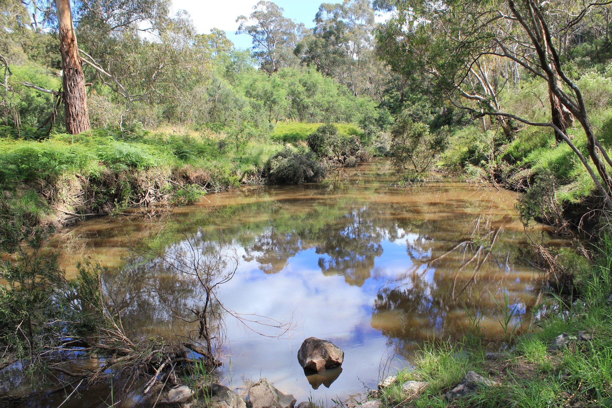 Bushwalking Plenty Gorge