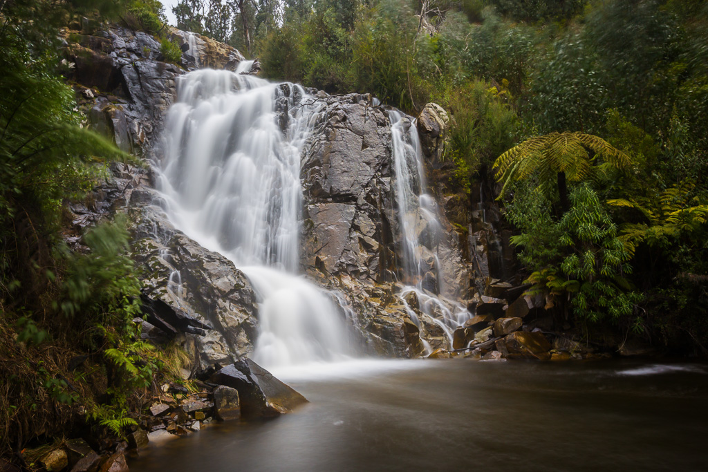 Keppell Lookout & Steavenson Falls Hike