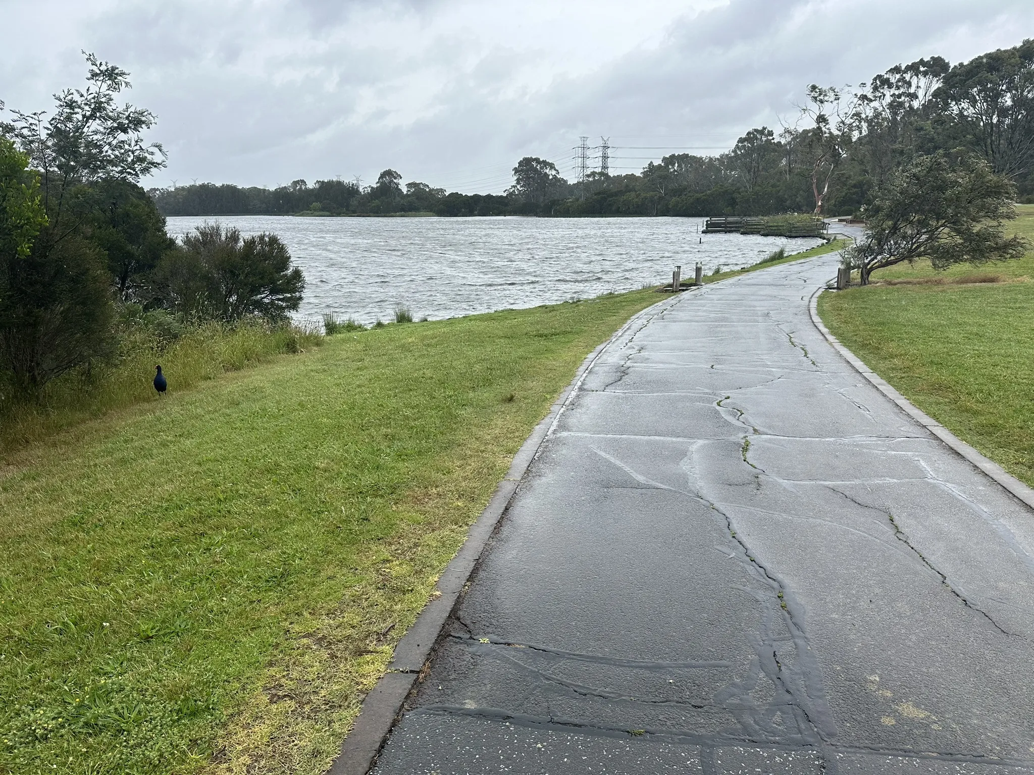 Dandenong Creek - Ringwood_Belgrave Rail Trail - Stud Rd Trail Cycling