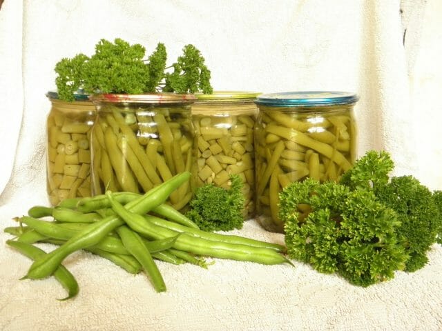 Спаржевая фасоль на зиму — лучшие рецепты приготовления