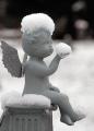 ?????? ??? angel_