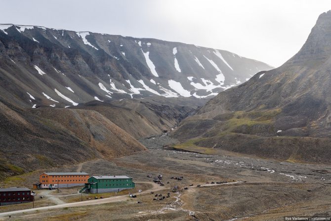 Кая Скоделарио 70 лучших фото ее и ее мужа Бенджамина Уокера