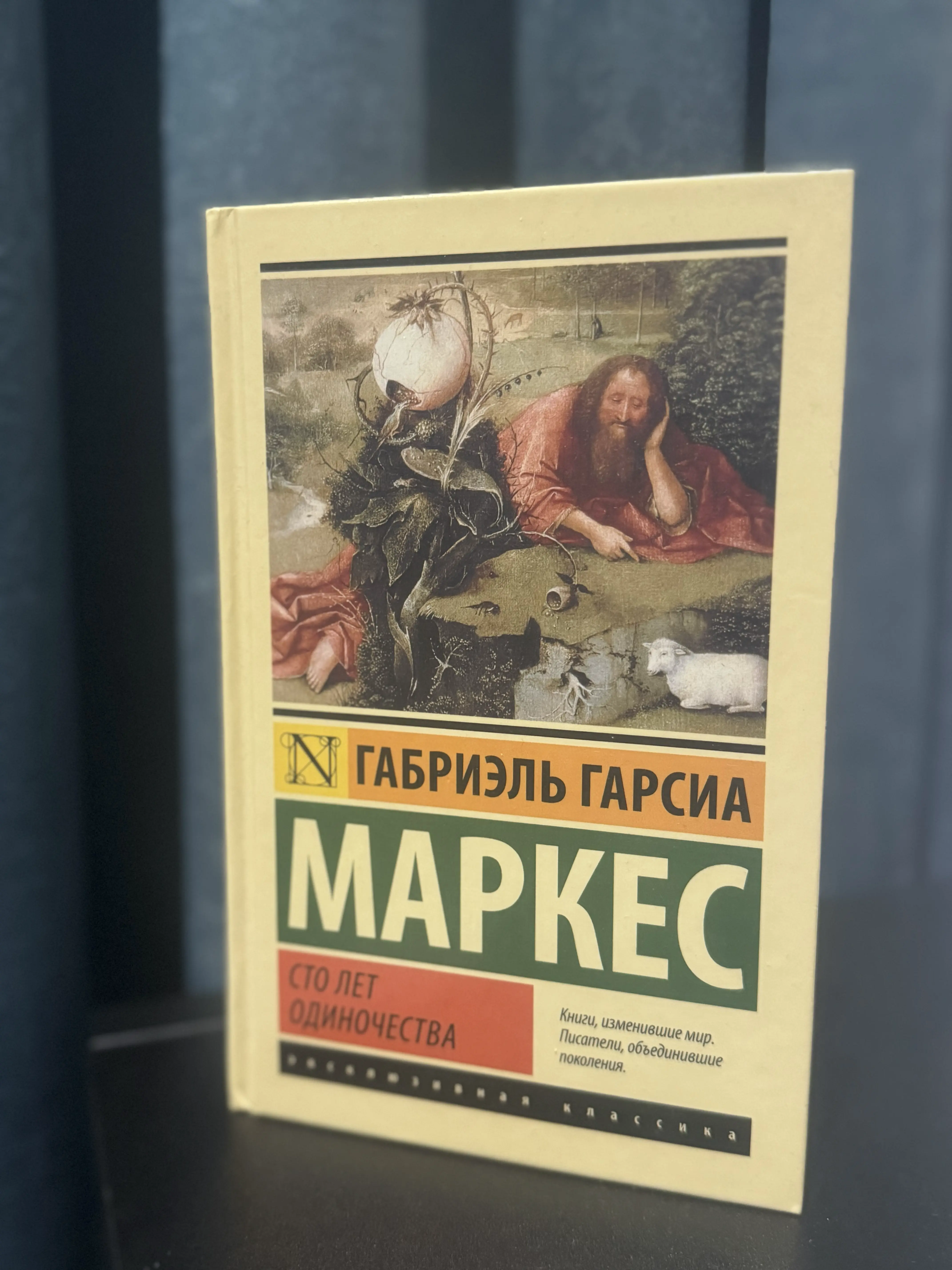Сто лет одиночества thumbnail