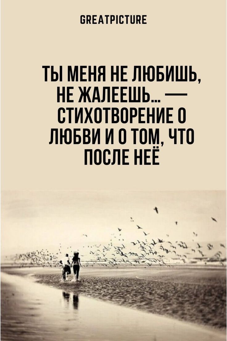 Ты меня не любишь, не жалеешь…