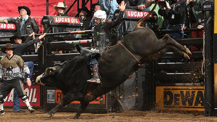 Professional Bull Riders