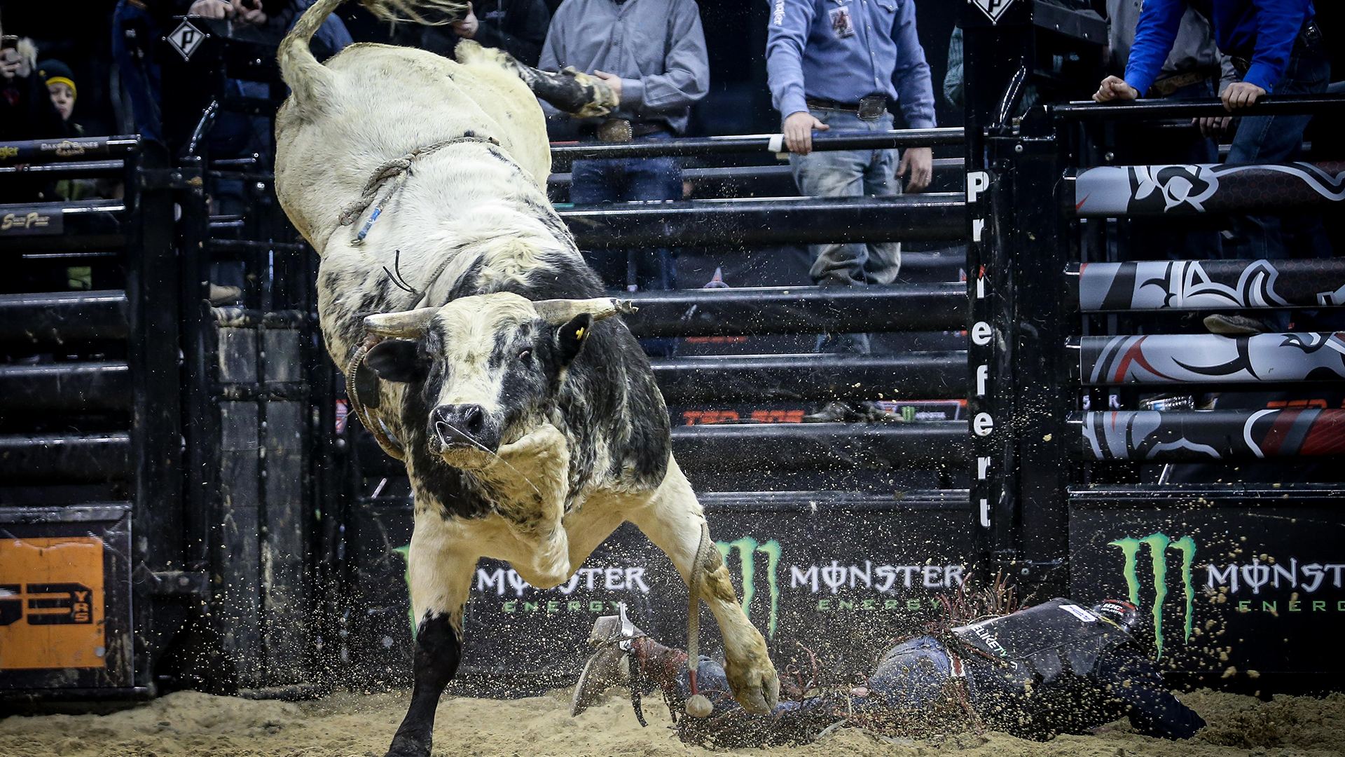 Vold previews bull pen for 2019 season