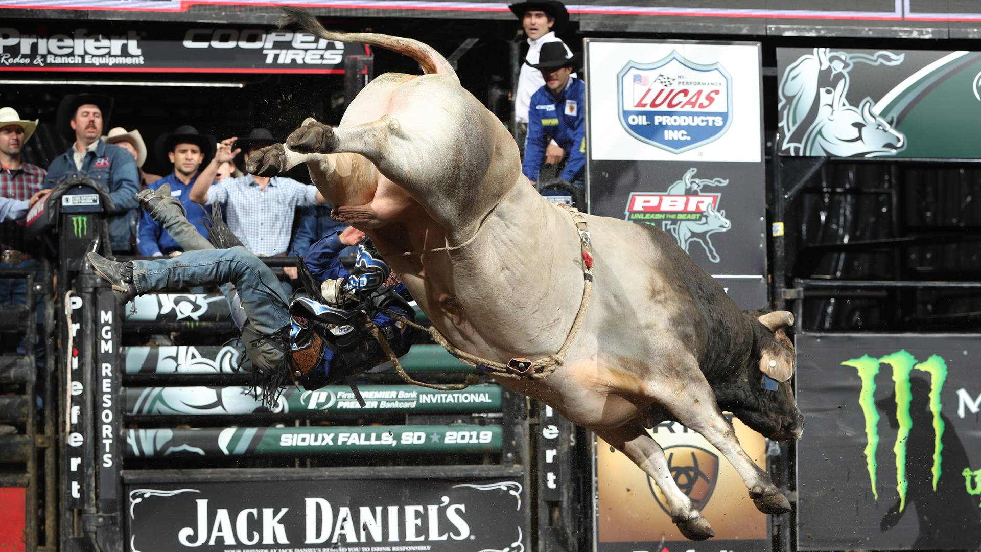 SweetPro's Bruiser notches 46.25 points and will be ready for Billings