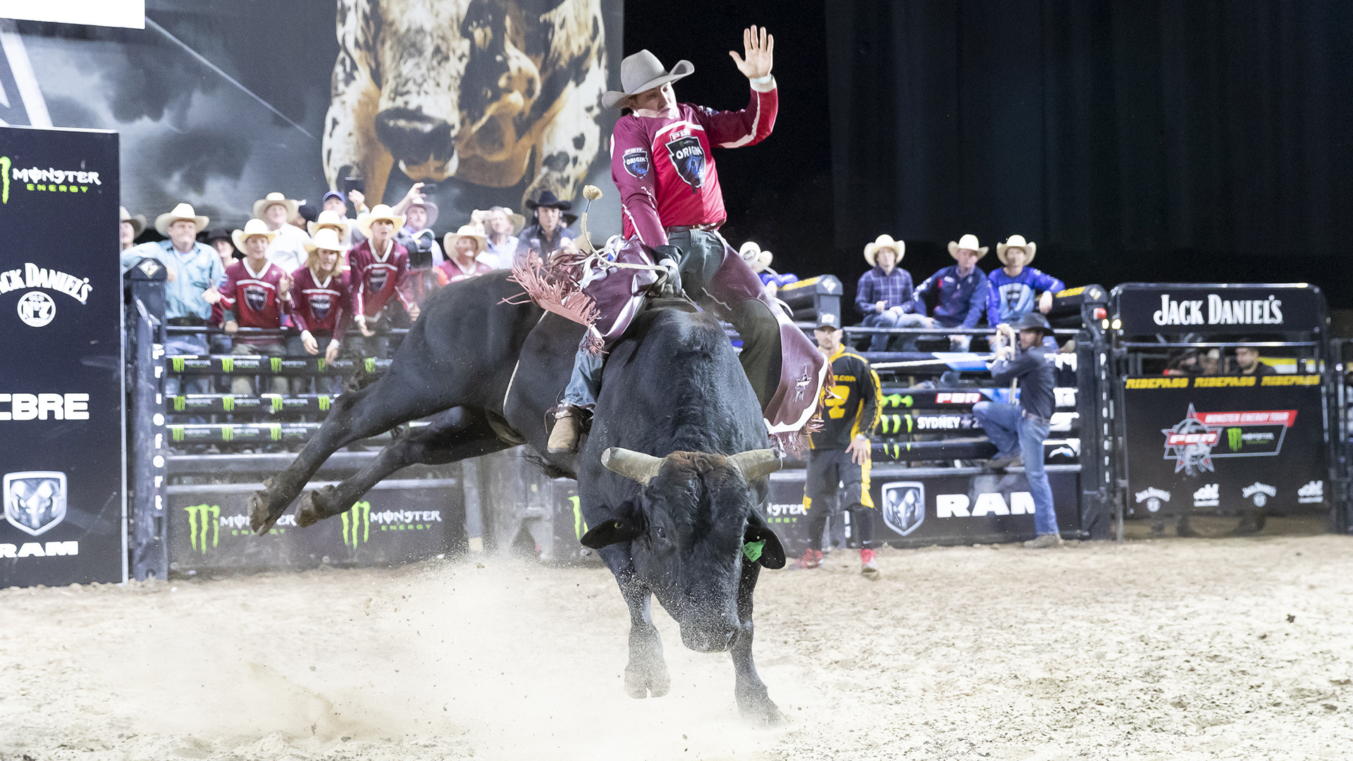 Paton’s PBR Australia’s Origin co-victory may lead to Global Cup roster spot