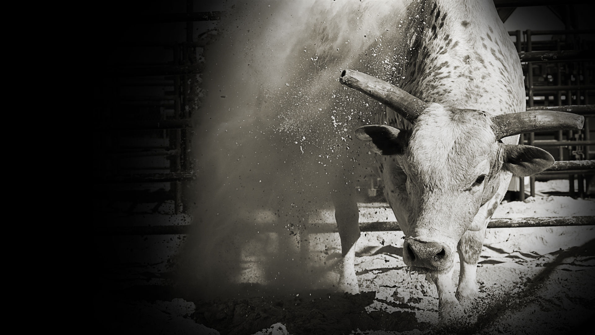 The Morning Line - Tulsa Round 1 and 15/15 Bucking Battle