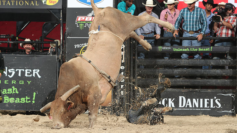 Heartbreak Kid bucks off Teel for 35th consecutive buckoff and moves into tie for second most all time