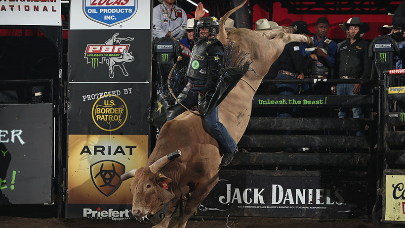 Heartbreak Kid extends buckoff streak to 37; Cool Customer marked career-high 45.75 points