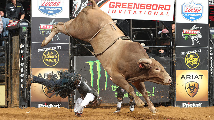 Heartbreak Kid continues pursuit of history with 38th consecutive buckoff