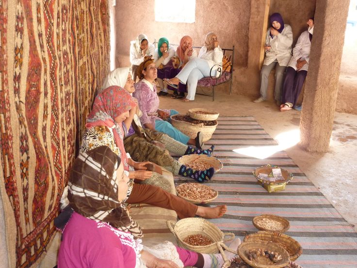 Les Coopératives au Maroc : Un Modèle de Développement Économique Durable