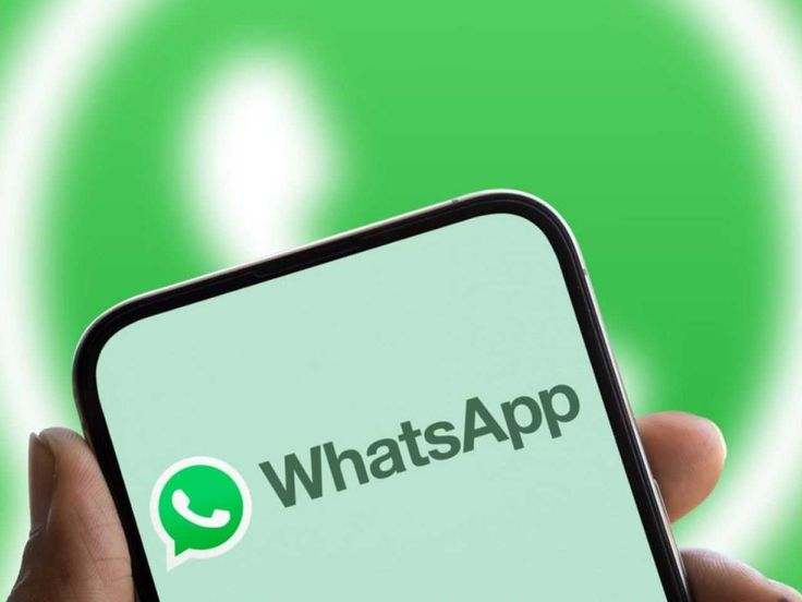 Contact direct avec les coopératives via WhatsApp : Optimisez votre gestion