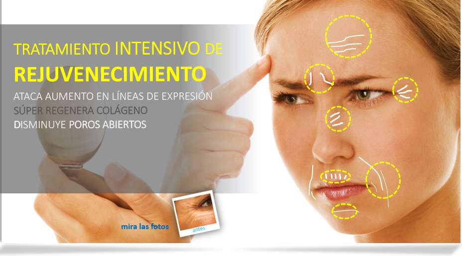 escort la linea tratamientos faciales escort la linea tratamientos faciales