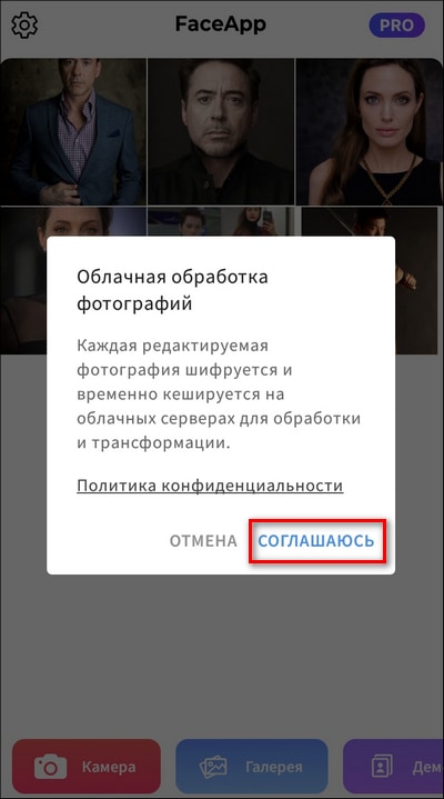 Согласие на облачную обработку FaceApp